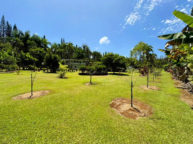 $975,000 | 29-3707 Kanna Road, Papaikou, HI 96781