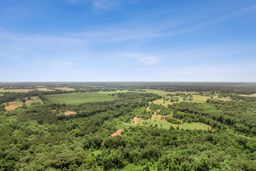 1600 Windmill Road Newton, AL 36352 - Photo 8 of 16