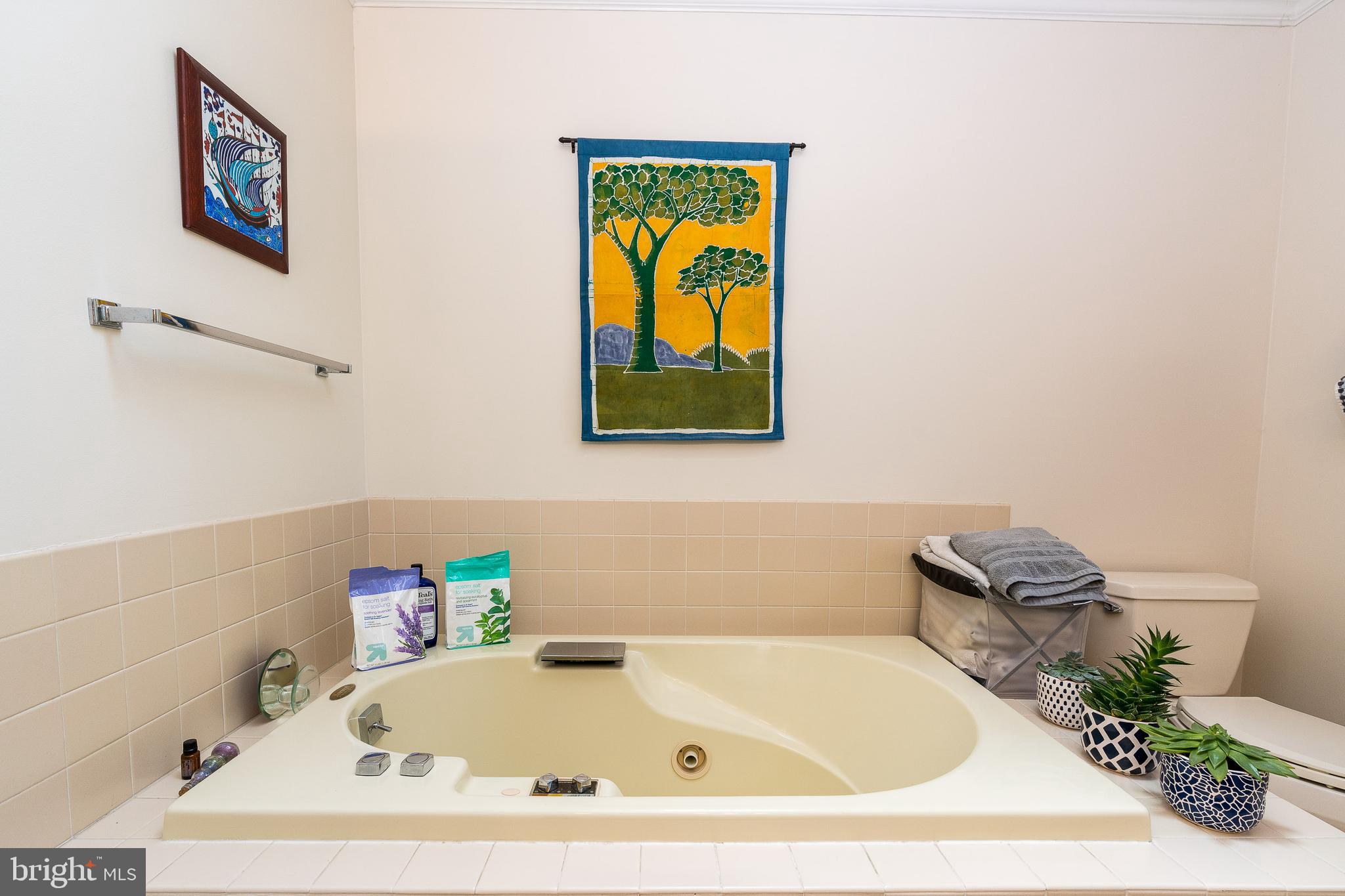 2900 Weaver Road Lancaster, PA 17601 - Photo 19 of 33 Master Bath