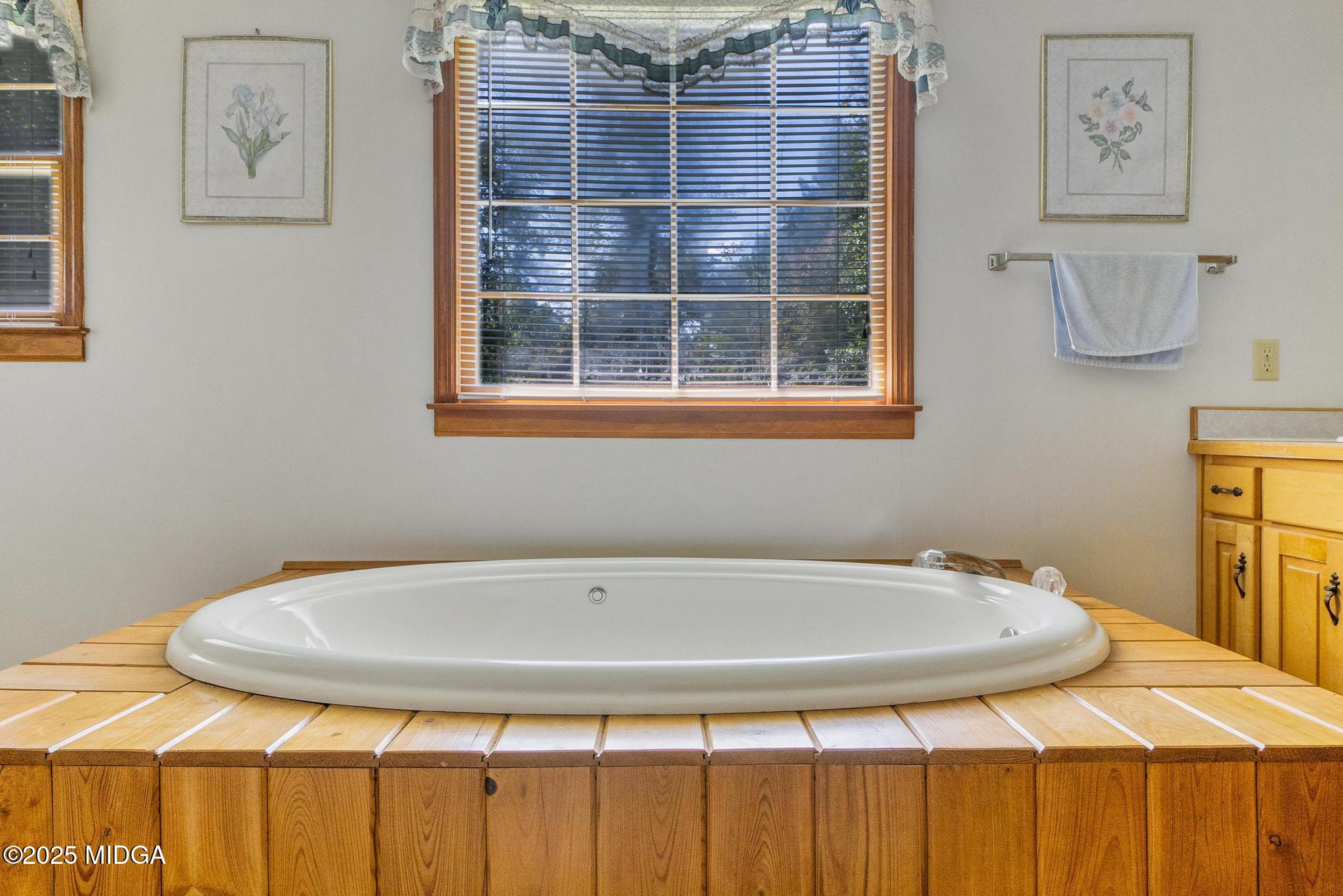 369 Abares Road Forsyth, GA 31029 - Photo 27 of 55 primary bath with garden tub
