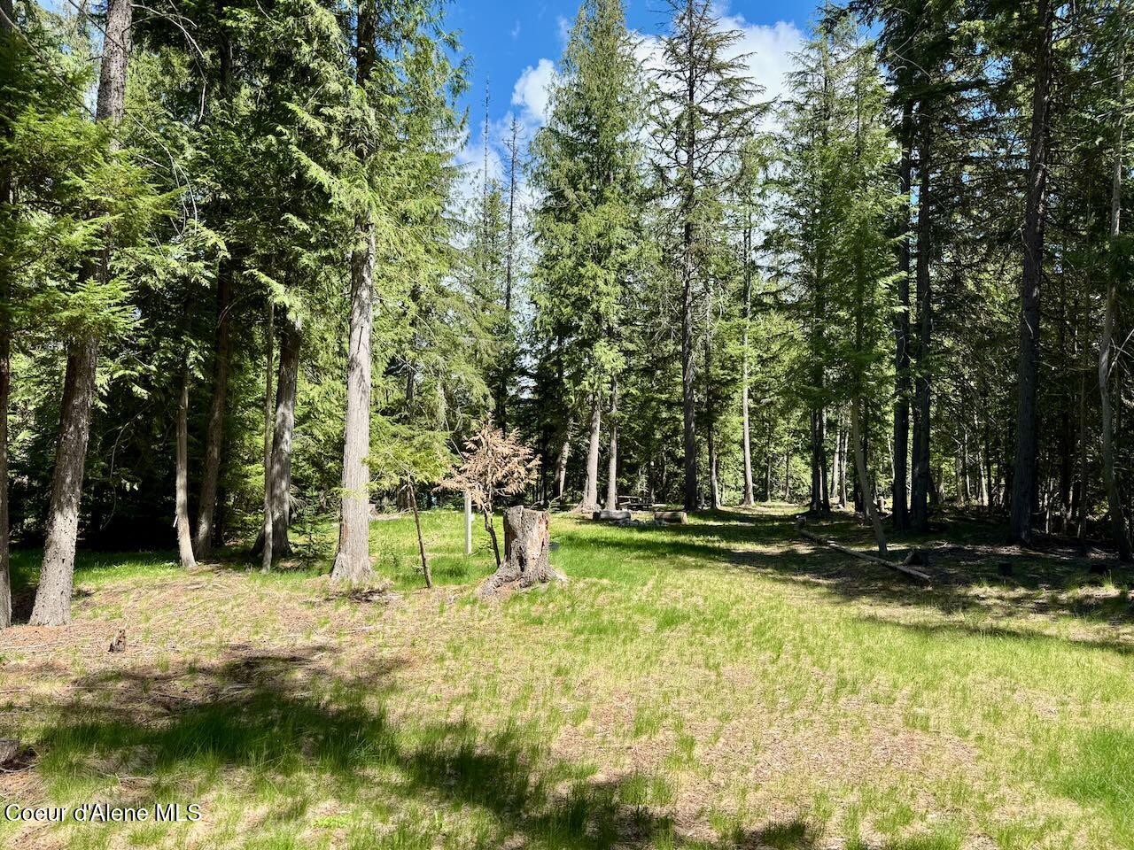 8213 Rapid Lightning Road Sandpoint, ID 83864 - Photo 18 of 40 Meadow