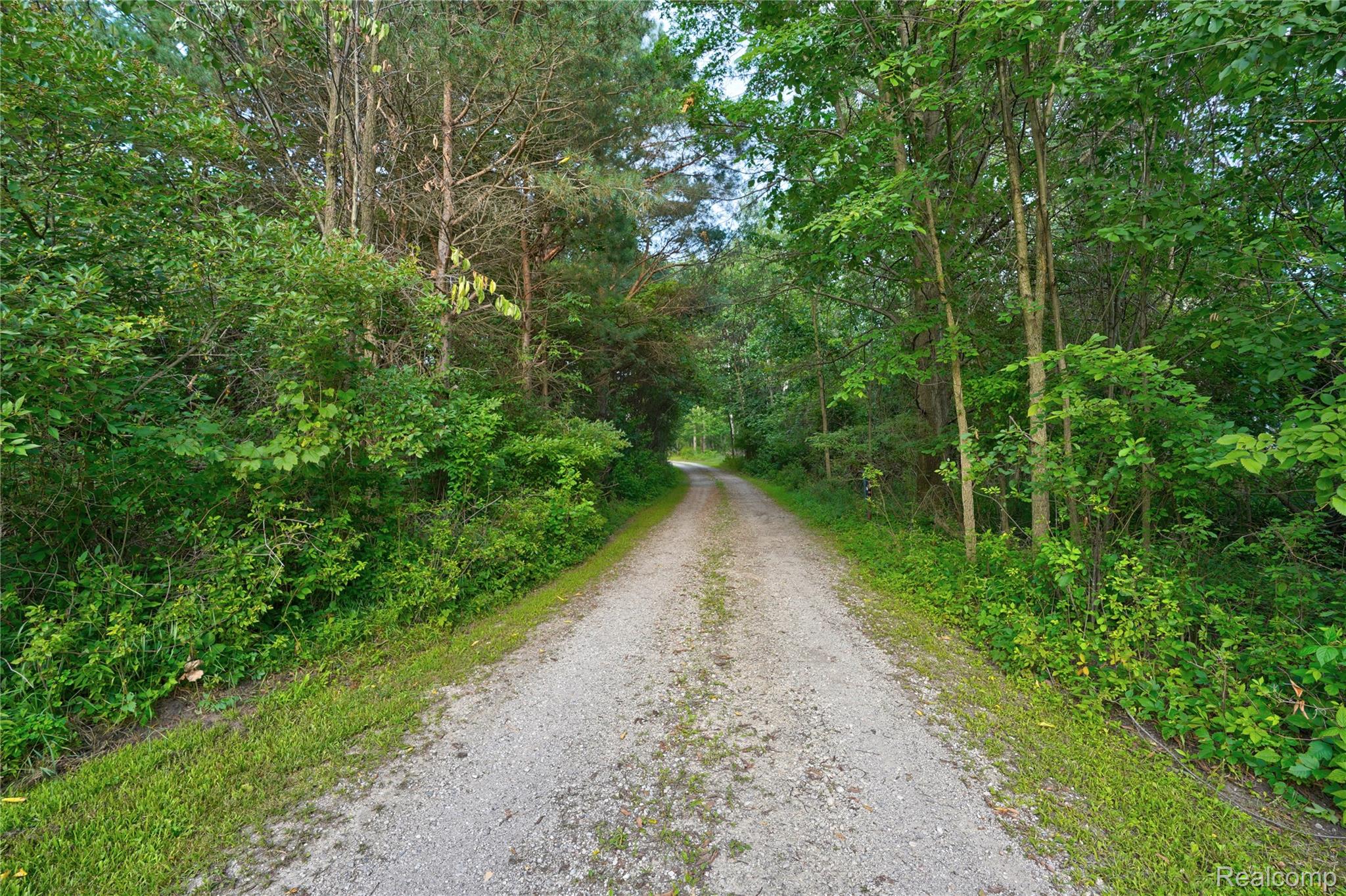 15055 South Duffield Road Byron, MI 48418 - Photo 48 of 61 Gravel driveway framed by mature trees and lush green foliage