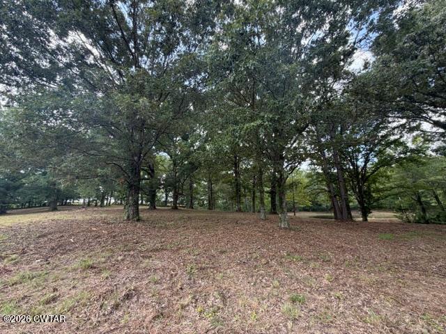 0 McBride Cemetery Road Sardis, TN 38371 - Photo 29 of 54 thumbnail (29)