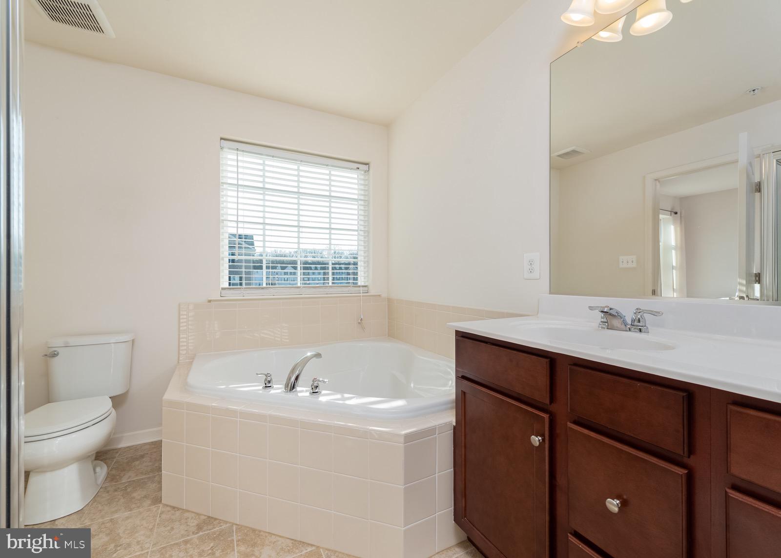 928 Sandy Run Road Baltimore, MD 21220 - Photo 16 of 23 Master Bathroom