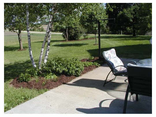 14754 West Eagle Point Road Polo, IL 61064 - Photo 6 of 11 a view of a park with large trees