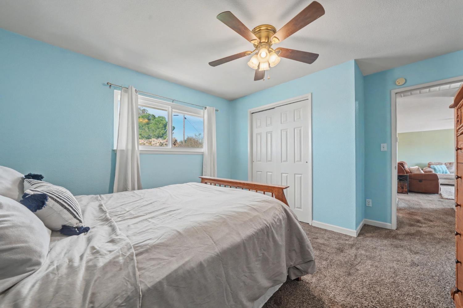 3050 Grapevine Gulch Road Ione, CA 95640 - Photo 12 of 36