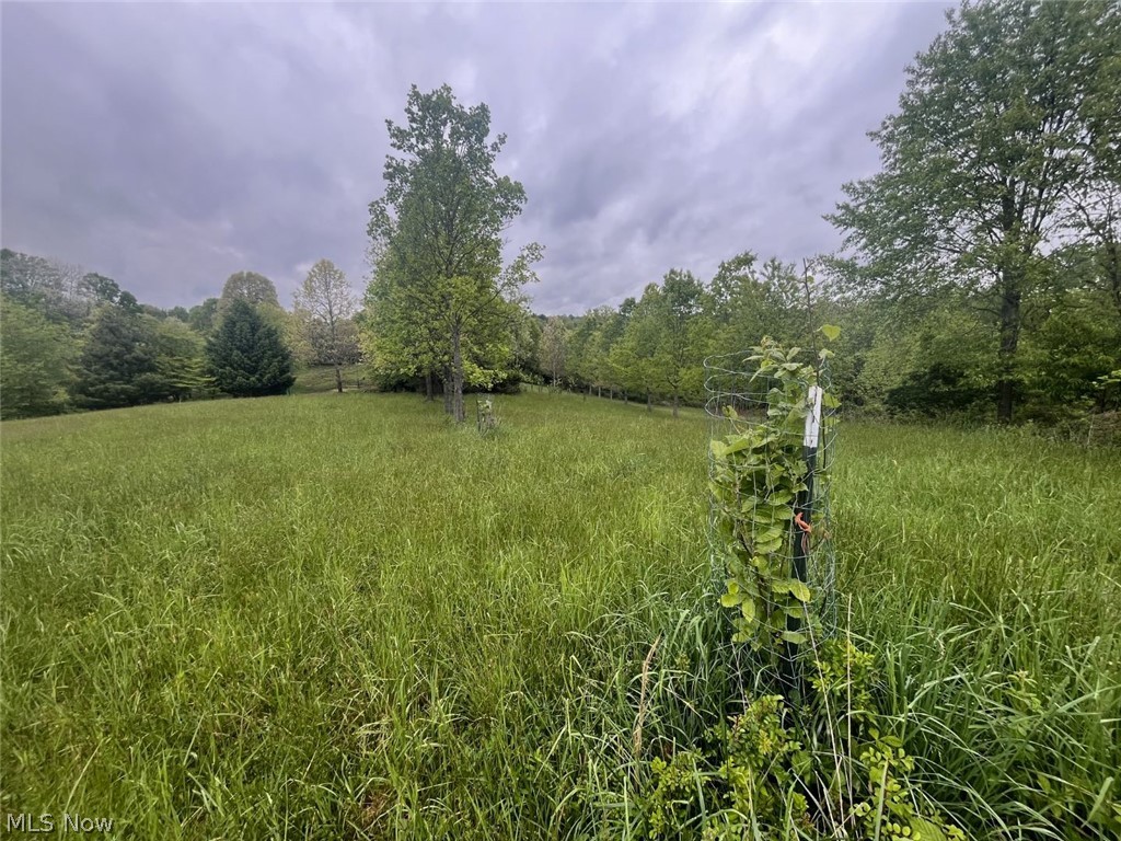 87085 Crall Road Scio, OH 43988 - Photo 5 of 17