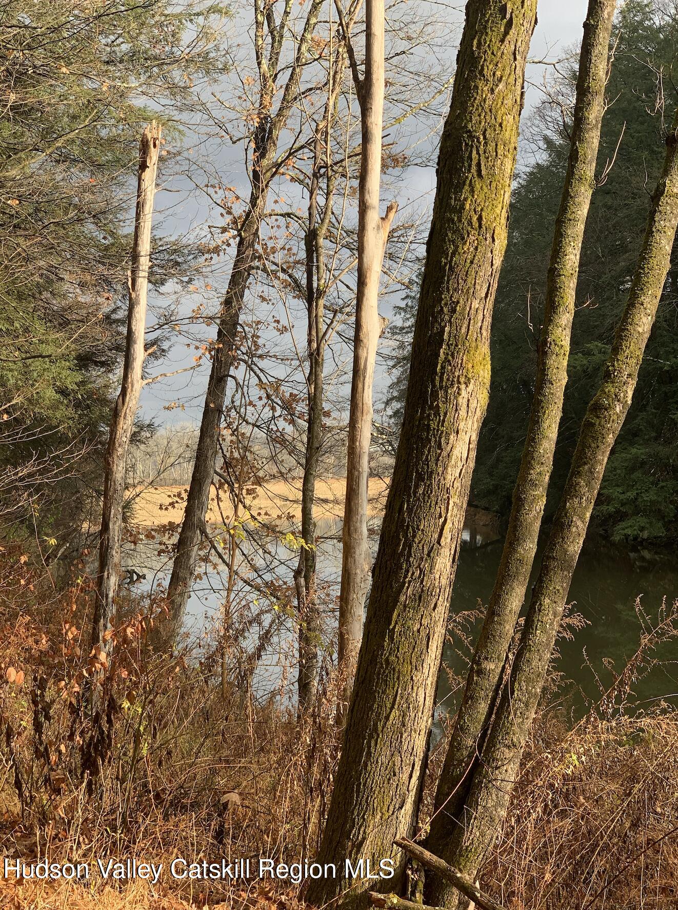 219-237 Swezey Road Coxsackie, NY 12051 - Photo 12 of 14 Coxsackie Creek