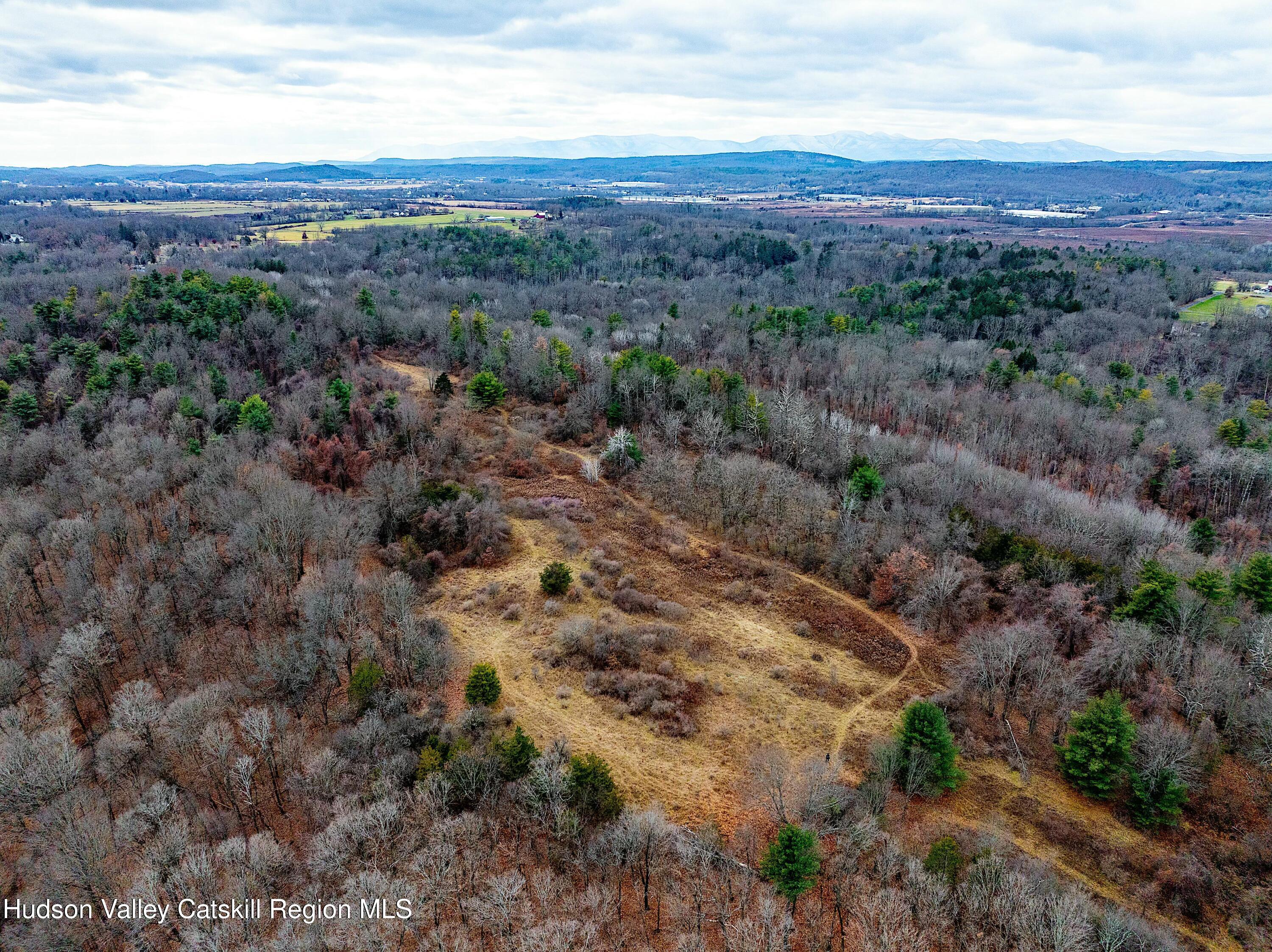 219-237 Swezey Road Coxsackie, NY 12051 - Photo 13 of 14 aerial of build site from SW