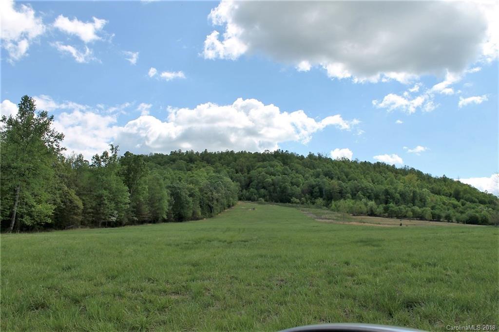 17.28 Zeb Road Union Grove, NC 28689 - Photo 11 of 19 Gallery Image 11