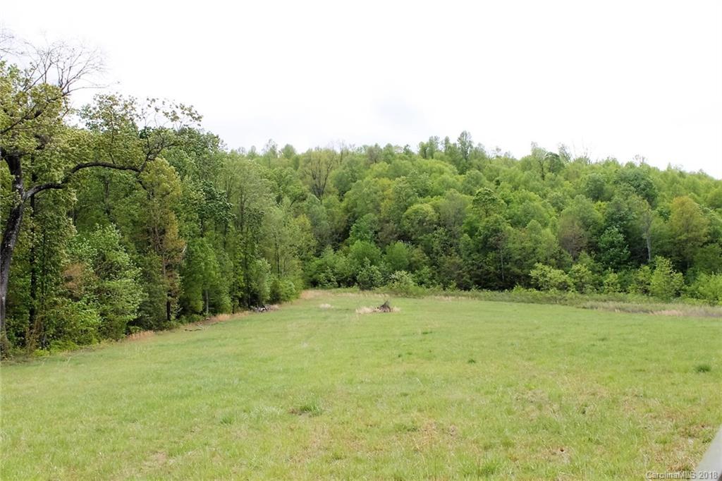 17.28 Zeb Road Union Grove, NC 28689 - Photo 15 of 19 Gallery Image 15