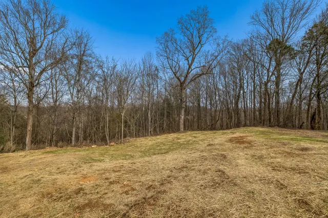 a backyard of a house with large trees