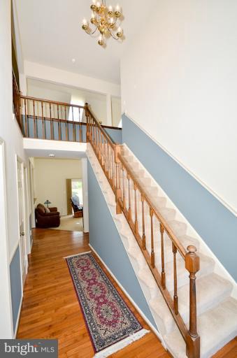 13402 Springhaven Drive Fairfax, VA 22033 - Photo 13 of 23 Interior (General)