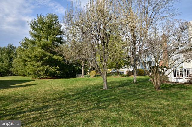 13402 Springhaven Drive Fairfax, VA 22033 - Photo 5 of 23 Exterior (Rear)