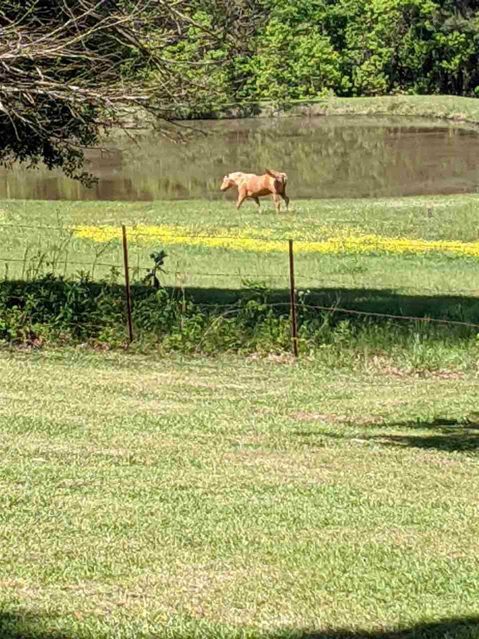 11177 Springridge Road Terry, MS 39170 - Photo 5 of 13 Photo 5