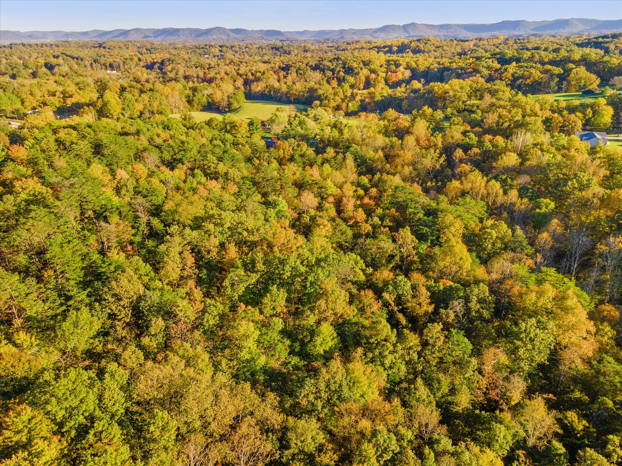 2050 Opossum Run Road Irvine, KY 40336 - Photo 37 of 38 Overhead Drone