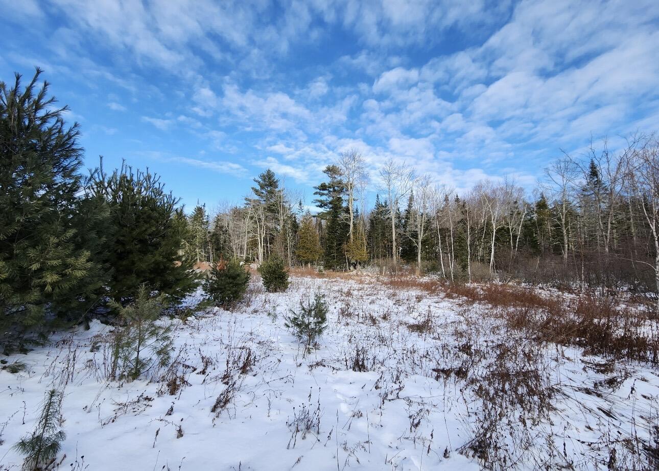 698 Stream Road Winterport, ME 04496 - Photo 11 of 14 IMG_6017