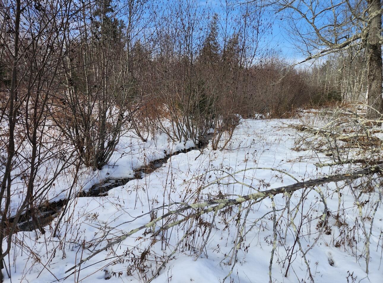 698 Stream Road Winterport, ME 04496 - Photo 12 of 14 IMG_6020