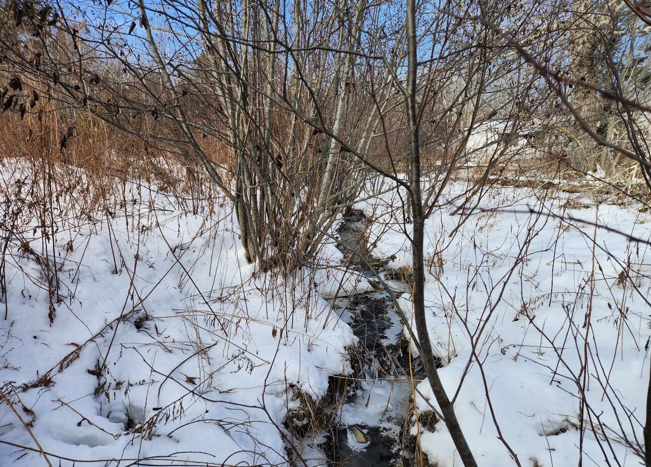 698 Stream Road Winterport, ME 04496 - Photo 13 of 14 IMG_6021