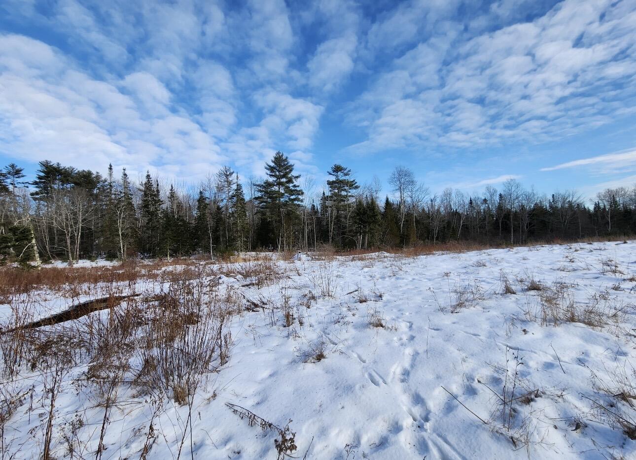 698 Stream Road Winterport, ME 04496 - Photo 7 of 14 IMG_6010