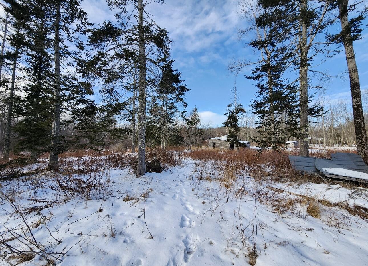 698 Stream Road Winterport, ME 04496 - Photo 8 of 14 IMG_6011