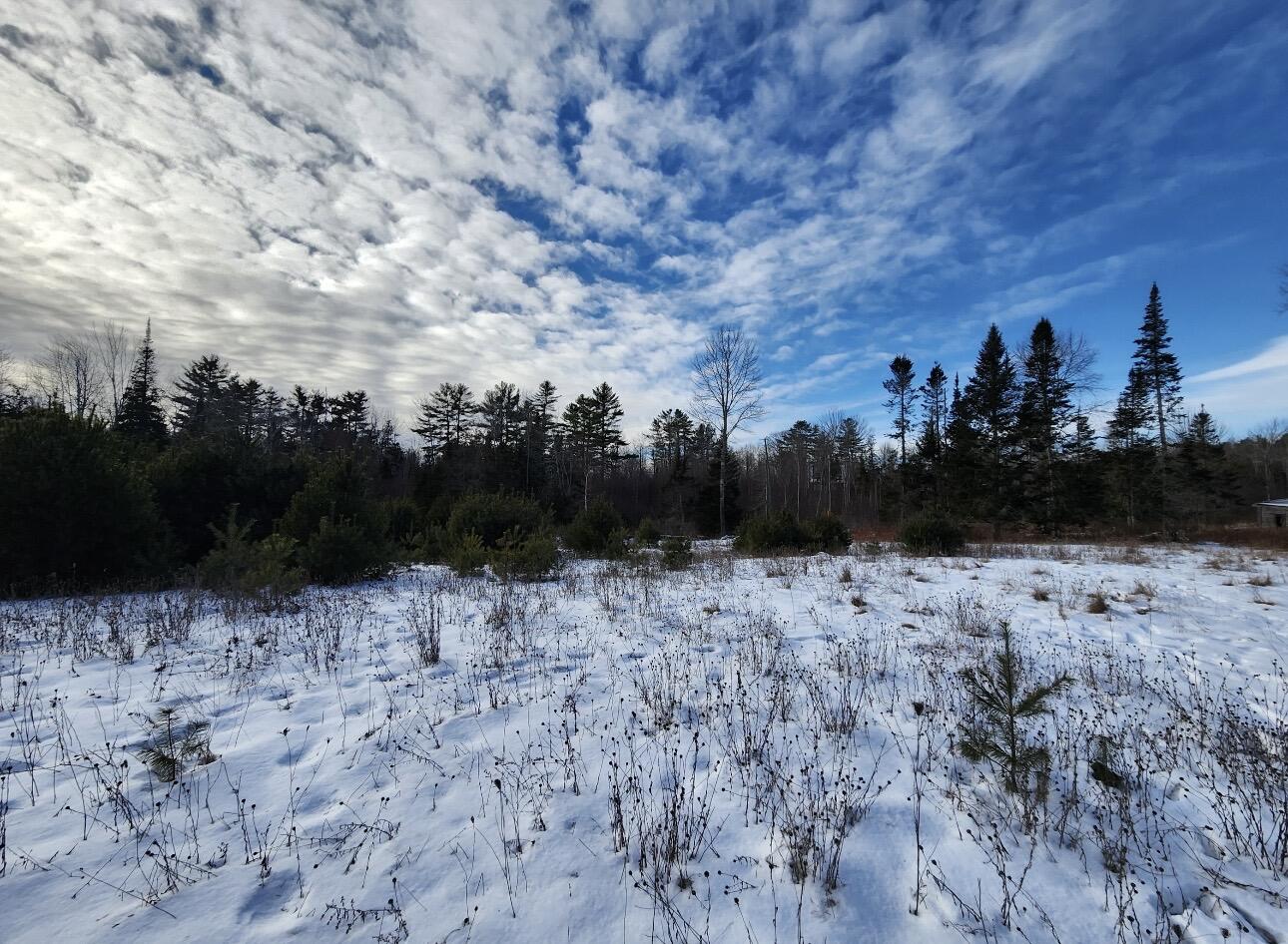 698 Stream Road Winterport, ME 04496 - Photo 9 of 14 IMG_6012