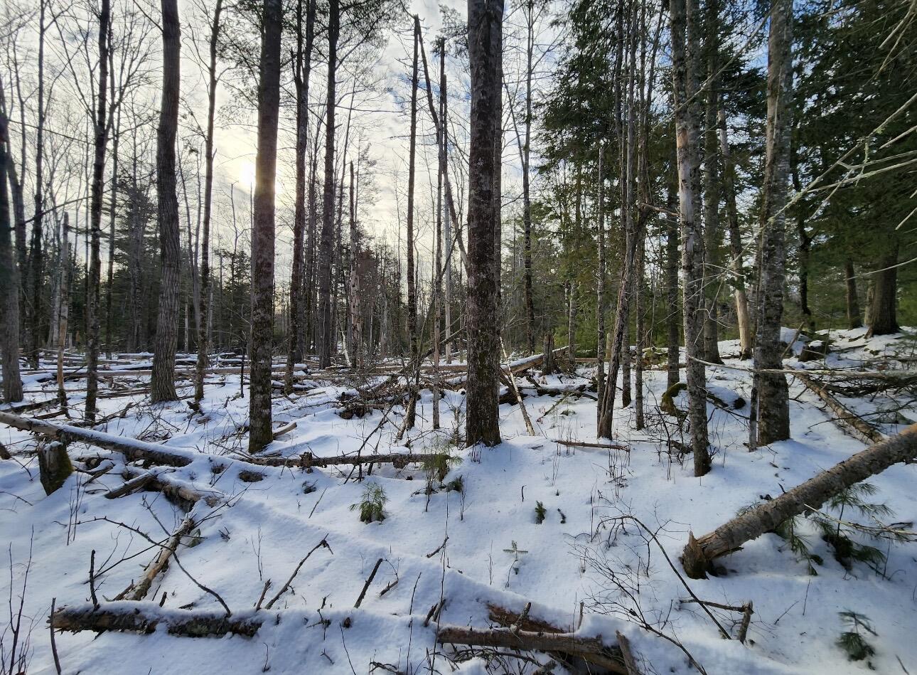 698 Stream Road Winterport, ME 04496 - Photo 10 of 14 IMG_6013