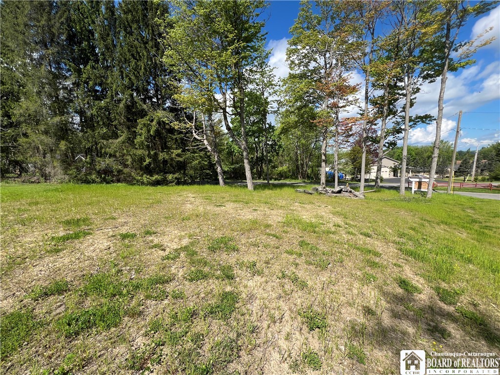 127 Warwick Road Ellicott, NY 14701 - Photo 3 of 4