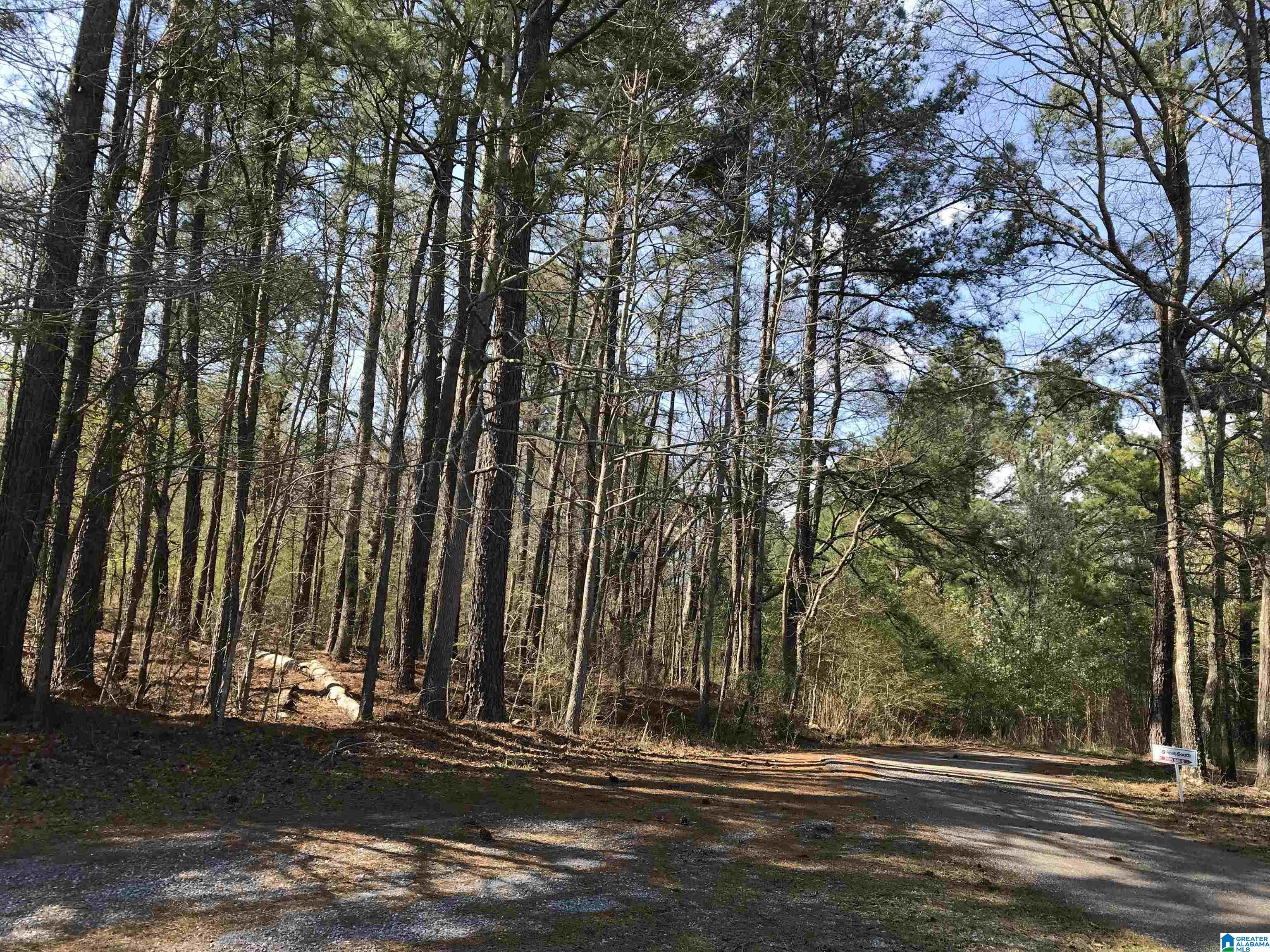 3 Chancellors Ferry Road, Unit 1 Harpersville, AL 35078 - Photo 11 of 14