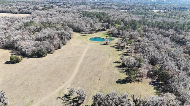 $7,800,000 | 15551 Northwest Highway 225, Reddick, FL 32686