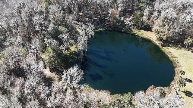 $7,800,000 | 15551 Northwest Highway 225, Reddick, FL 32686