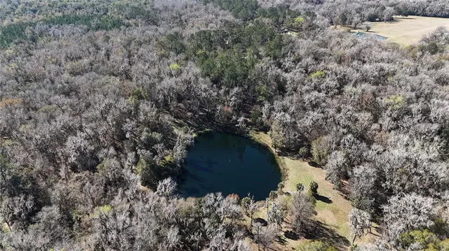 $7,800,000 | 15551 Northwest Highway 225, Reddick, FL 32686