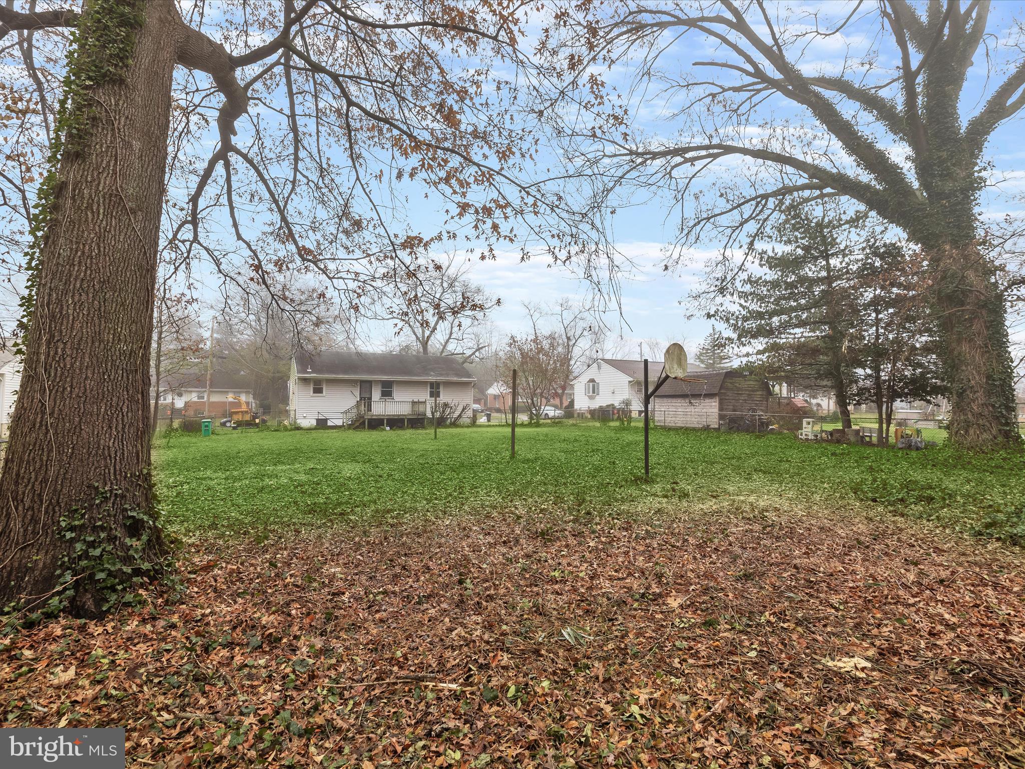 11724 Emack Road Beltsville, MD 20705 - Photo 28 of 41 1/3 acre Level yard