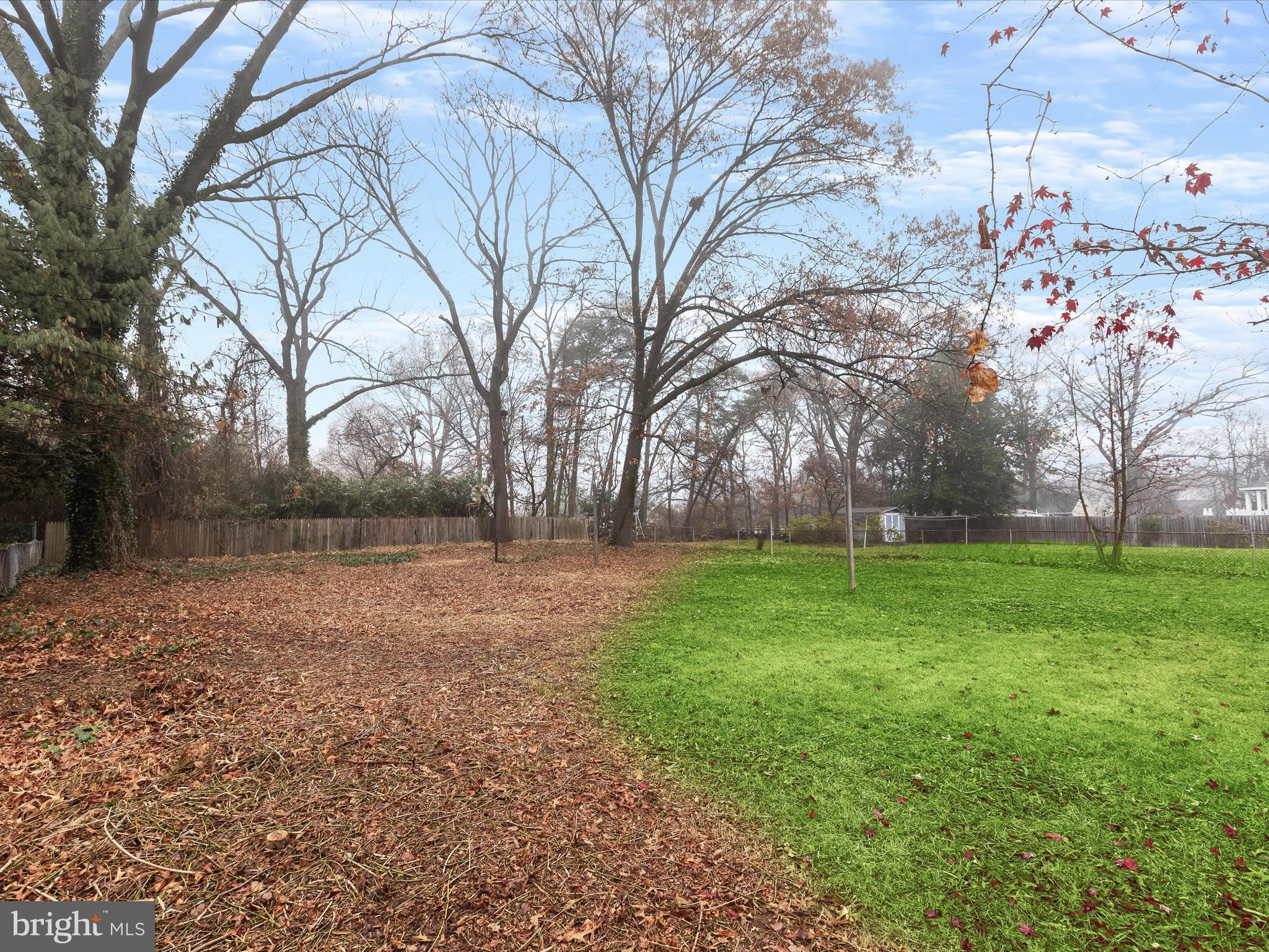11724 Emack Road Beltsville, MD 20705 - Photo 30 of 41 Level yard