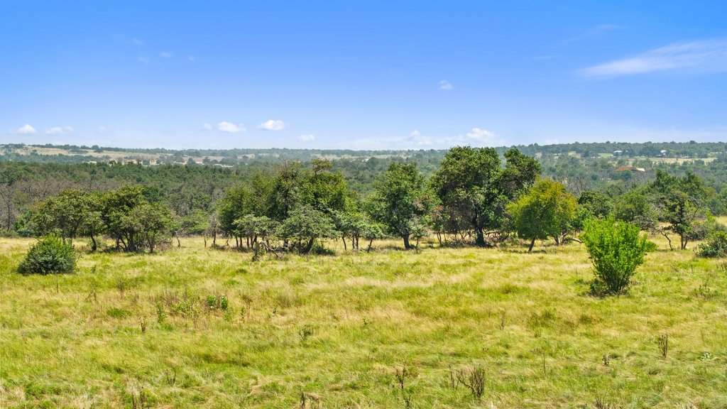 Tbd Reeh Road Fredericksburg, TX 78624 - Photo 21 of 37 A verdant landscape unfolds with mature trees, offering a pastoral setting under an azure sky.