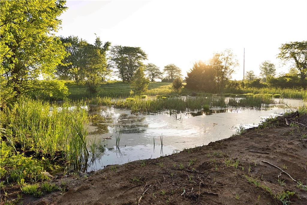 Murray Rd Road Polo, MO 64671 - Photo 15 of 53