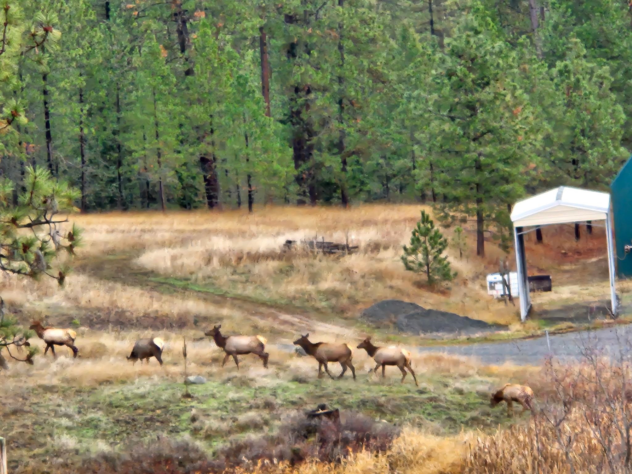 1076A Starvation Lake Road Colville, WA 99114 - Photo 49 of 50