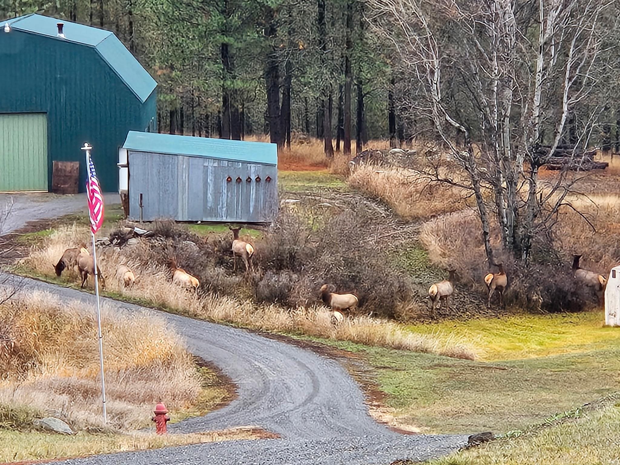 1076A Starvation Lake Road Colville, WA 99114 - Photo 50 of 50
