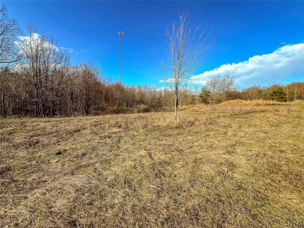 2407 Timmerman Road Jasper, NY 14839 - Photo 11 of 39