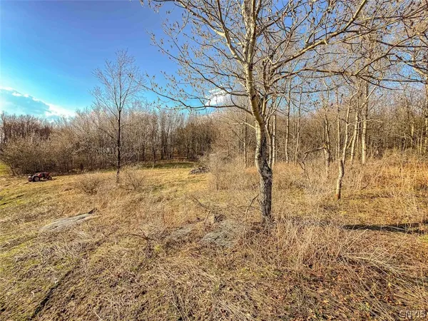 $27,900 | 2407 Timmerman Road, Jasper, NY 14839
