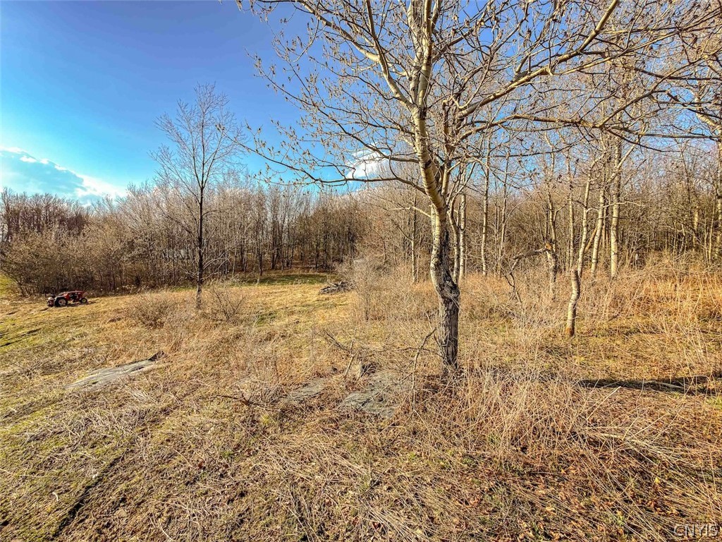 2407 Timmerman Road Jasper, NY 14839 - Photo 12 of 39