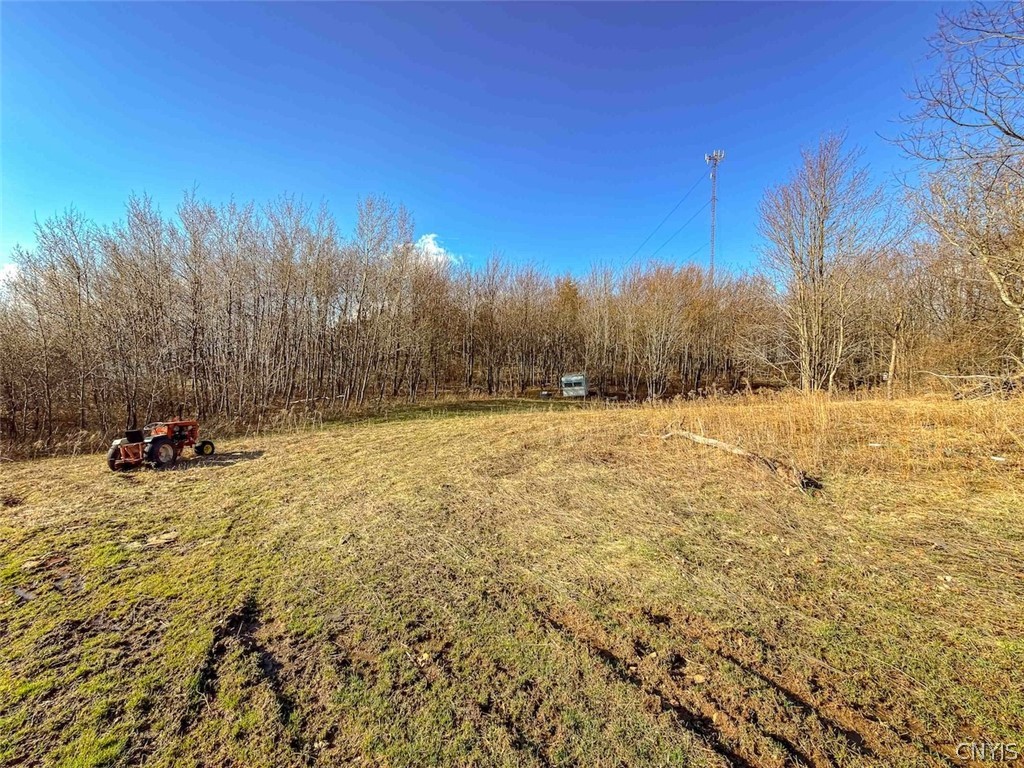 2407 Timmerman Road Jasper, NY 14839 - Photo 13 of 39