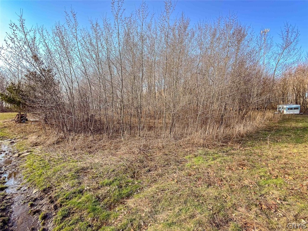 2407 Timmerman Road Jasper, NY 14839 - Photo 14 of 39