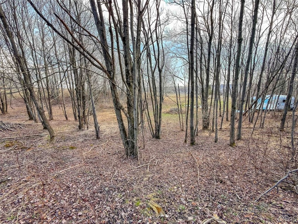 2407 Timmerman Road Jasper, NY 14839 - Photo 16 of 39