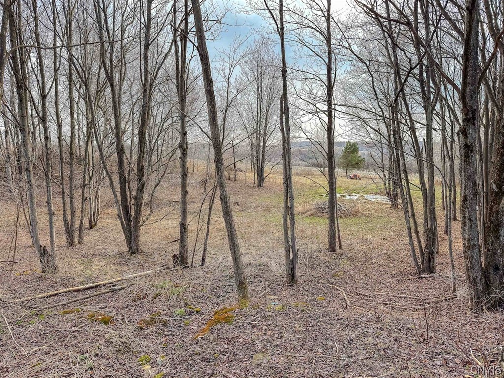 2407 Timmerman Road Jasper, NY 14839 - Photo 17 of 39