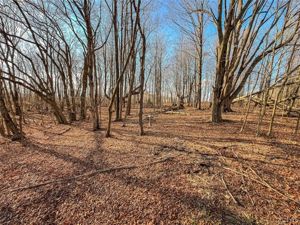 2407 Timmerman Road Jasper, NY 14839 - Photo 18 of 39