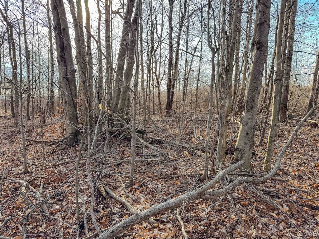 2407 Timmerman Road Jasper, NY 14839 - Photo 19 of 39