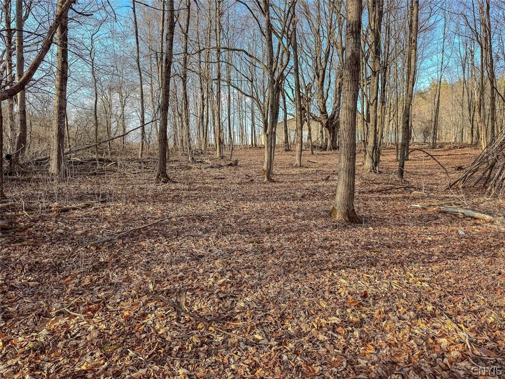 2407 Timmerman Road Jasper, NY 14839 - Photo 20 of 39