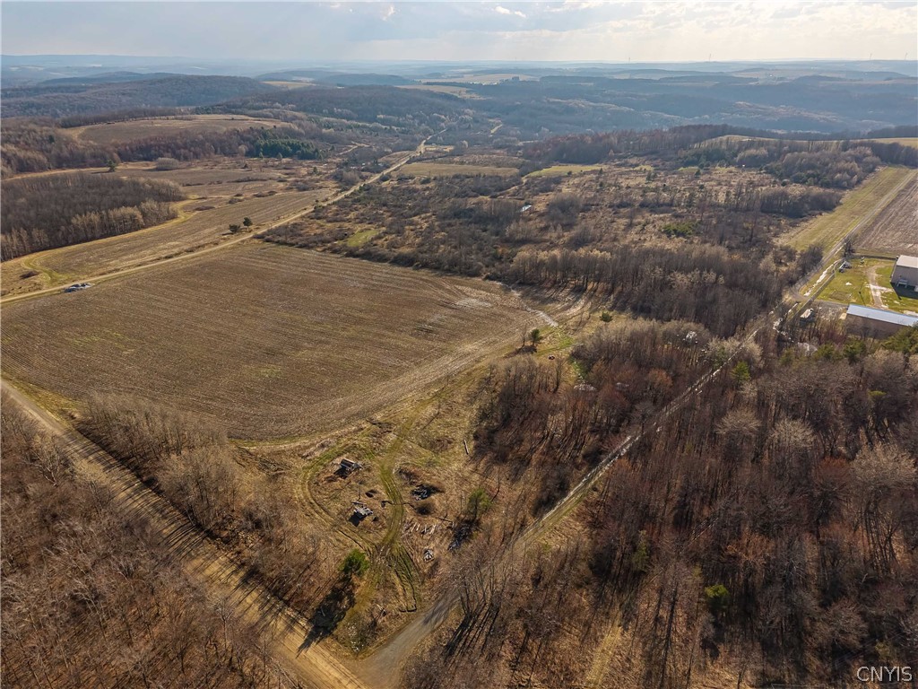 2407 Timmerman Road Jasper, NY 14839 - Photo 2 of 39