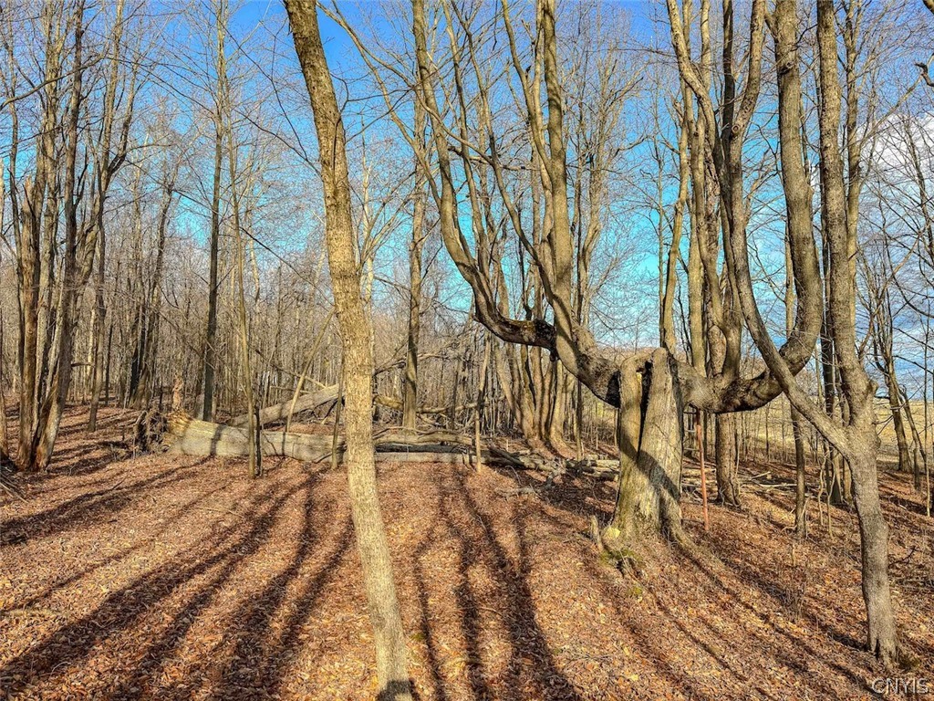 2407 Timmerman Road Jasper, NY 14839 - Photo 21 of 39